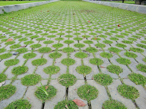 植草砖绿化城市